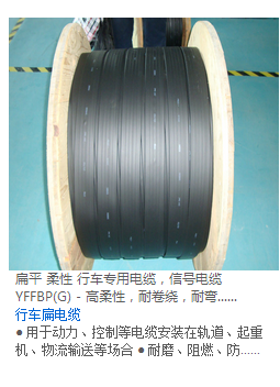 扁平电缆在天梯特种装备中的关键作用及TVVB-G系列电缆的技术解析