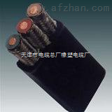 YFB电缆3*50橡套扁平软电缆 工业动力的柔性之选 ——探寻商机，牵线中国安防展览网